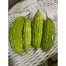 생여주 500G 2022년 여주 고야 비터메론, 생여주(500G)