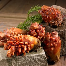 홍천철원 국내산 통영 제철 활멍게 2kg (25~35미), 없음, 단품
