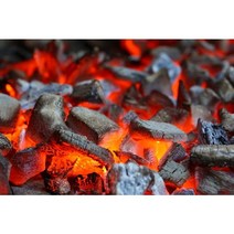오래가는 커피나무숯 캠핑 글램핑 팬션 캠핑장 등 대용량 커피숯 10kg 사이즈선택, 10kg SS