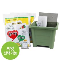 화분월드 베란다텃밭 토마토 키우기 분갈이흙 정사각 화분 11호 텃밭세트 8종, 정사각11호 받침 텃밭세트