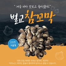 당일조업 벌교 참꼬막 꼬막 1KG 2KG 3KG