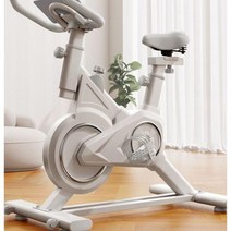 실내자전거 헬스자전거 헬스기구 스핀바이크 사이클 가정용 좌식, 기본형 블랙 + 블루투스