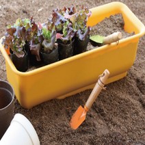 화분 텃밭 베란다 플라스틱 화분 45cm, 옐로우