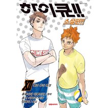 [책서가]하이큐!!. 12(소설판) 졸업 후의 풍경