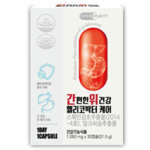 스페인감초추출물 밀크씨슬 밀크씨즐 간편한 위건강 헬리코박터케어 3박스 3개월분 뉴트라팜 헬리코박터균 증식억제 간건강 위점막 보호 간케어 위케어 식약처 개별인정형 실리마린 위장장애, 3개