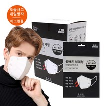 더 올바른 마스크 대형 KFAD 세부리형마스크 귀편한 숨쉬기 편한 비말차단 마스크 화이트 / 블랙, 대형 블랙 30매X2BOX