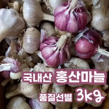 2023 남해 홍산마늘 햇 마늘 3kg 국내산 홍산 마늘 종자 장아찌 통마늘 신품종 신종품 종자용 저장용 김장 식용 식당 마늘쫑 상등급, 3kg (소), 1개