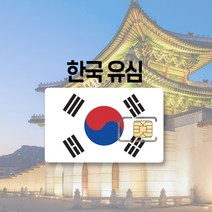 한국 유심 LTE 완전무제한 7일 30일 국내 KT SK 여행 출장 선불 유심칩, KT 매일 500MB, 1일