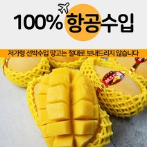 프리미엄 망고 태국 골드망고, 5kg(14개내외)