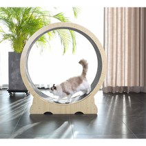 달리냥 캣휠 가성비 저소음 고양이 운동 용품 장난감 펫휠, 내부지름70cm, 자체조립