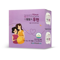 지엠팜 더헴철포우먼 임산부 철분제, 60정, 2개