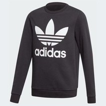 아디다스 키즈 아디다스 TREFOIL CREW ED7797