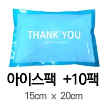 100일 아이스팩+10개