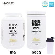 MYOFLEX 유청단백질 WPC 농축유청단백질 BCAA 필수 아미노산 포대유청 단백질쉐이크 단백질보충제 헬스 프로틴보충제 프로틴 대용량, 1세트, 500g(쉐이크통+스쿱)