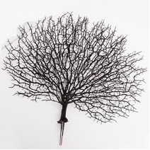 제주캔들만들기 인조 흑산호 젤캔들첨가물 50cm, 브라운