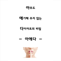 좋은땅 아무도 얘기해 주지 않는 다이어트의 비밀 + 미니수첩 증정, 안창준
