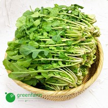 루꼴라 1kg, 없음
