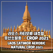 (커피생두) 246 라오스 카티모르 내추럴 유산소발효 - CROP 2021 1kg