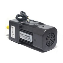 40W 220V AC 기어 감속기 모터 고정 속도 5RK40GN-CF, 06 5GU75K 18rpm