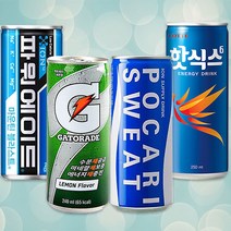 이온음료 240ml 포카리 게토레이 파워에이드 스포츠음료 30캔, 선택2) 파워에이드