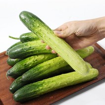 국내산 청오이 5kg(21개내외), 단품