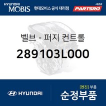 벨브-퍼지 컨트롤 (289103L000) 벨로스터 쏘나타LF 아반떼 아슬란 I30 G70 코나 투싼 현대모비스 부품 공식대리점