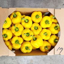 못난이 노랑 파프리카 2kg