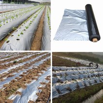 30m 0.012mm pe 멀칭 필름 실버 블랙 플라스틱 멀칭 정원 그라운드 커버 필름 서리 방지 따뜻한 잡초 방제 유지, 30미터, 폭 1.5m