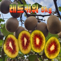 레드키위 고당도 고흥 키위 5kg 산지직송
