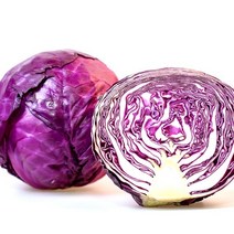 신난데이 아삭아삭 건강채소 자색양배추, 자색양배추 1통 (1.5KG 내외), 1개, 1.5KG 내외