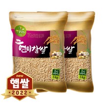 농사꾼 양심쌀 찰현미(현미찹쌀) 10kg 2022년산 햅찰현미, 1포
