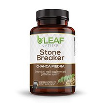Stone Breaker Chanca Piedra Extract 1000mg - 요로 및 담낭 지원 - BrsquoLeaf Nature의 100 식물성 캡슐