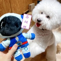 차밍펫 강아지 장난감 삑삑이 우주댕댕이 인형 반려견 애착인형 봉제인형, 우주인 머피쿠퍼