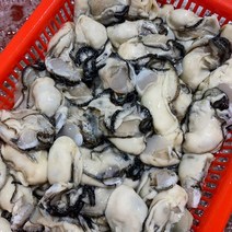 통영 생굴 깐굴 1kg 제철 음식 냉동굴 굴 무침 굴찜 굴전 간장굴장, 깐 생굴 1kg(중), 1개