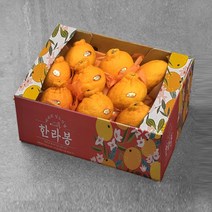제주 한라봉, 1개, 실속 3kg