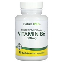 네이처플러스 비타민 B6 500mg 90정