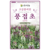 보라색 풍접초 200립 - 풍접초씨앗 풍접초씨 족두리꽃 클레오메 백화채 양각채 야생화 고급 씨앗 꽃씨 씨 꽃씨앗, 20_다농_풍접초(혼색)(0.5g)