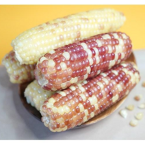 무한푸드몰 쫀득 꿀맛 찰옥수수 냉동옥수수 무첨가 명품 홍찰 소 20개 고소한맛 그대로