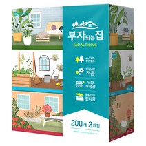 부자되는집 각티슈 2겹, 3개입, 1팩