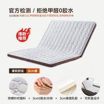 B야자섬유 3cm패드+라텍스 3cm패드 2단 접이식 매트리스 단단한 갈색 하드 매트, F. type 6_단일상품