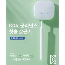 굿리던스 칫솔 살균기 UVC 살균LED, 핑크