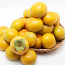 [산지직송] 경남 창원 북면 단감 3kg 19-25과내, 단품
