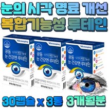 망막 중심 시력 황반 구성 물절 유해요인 보호 루테인