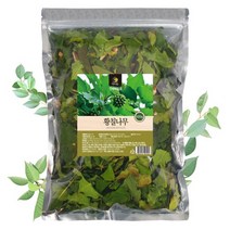 국산 나무인삼 황칠나무건재 (500g) 상쾌한향 황칠나무차, 500g, 1개