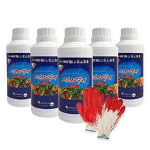 시스타액제 500ml x 5병 수용성규산염 유기농 영양제 규산나트륨 항공방제드론방제 수도작 포도나무비료 샤인머스켓 포도 딸기 벼 고추, 5개