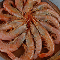 김포창고 - 랍스타 킹 단새우 2kg