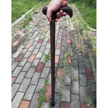 어르신 낮은 할머니지팡이(88cm) 할아버지선물 복지용구 어르신지팡이 워킹스틱 안전손잡이 보조 효팡이, 1개