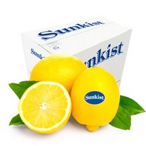 슬림핏 콤부차 발효음료 유익균 레몬맛 사과초모식초