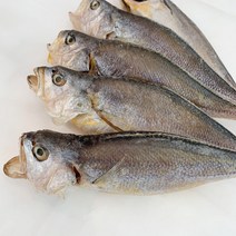 부세 조기, 3미