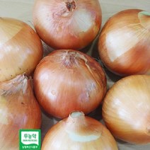(인빌푸드)창녕 무농약 햇양파 5kg, 1개